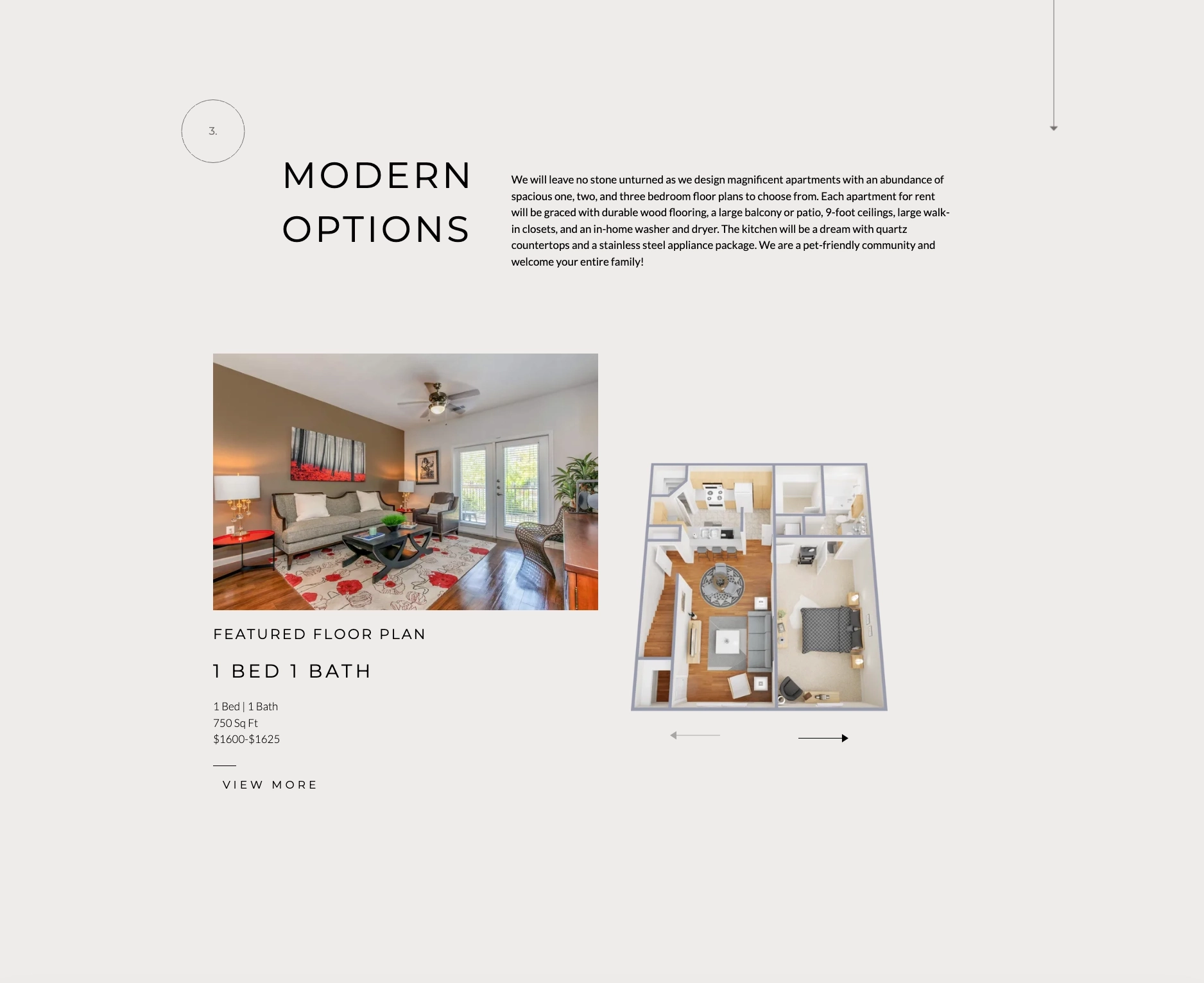 Modern Options floor plan section showing large headline, descriptive text, featured 1 Bed 1 Bath floor plan with interior photo, floor plan diagram, and navigation arrows