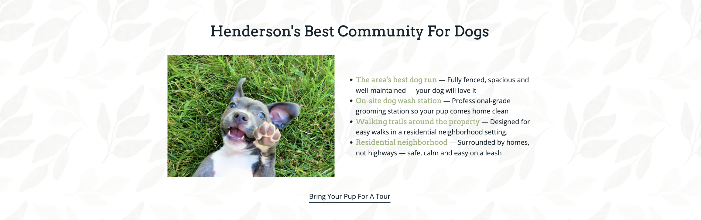 Henderson's Best Community For Dogs section with dog photo, bullet points highlighting pet amenities, and a Bring Your Pup For A Tour CTA